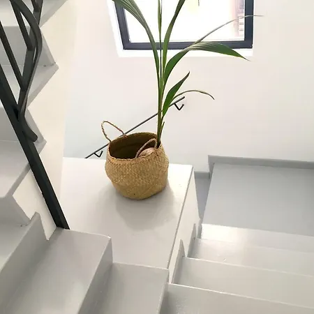 Appartement Edificio Bel