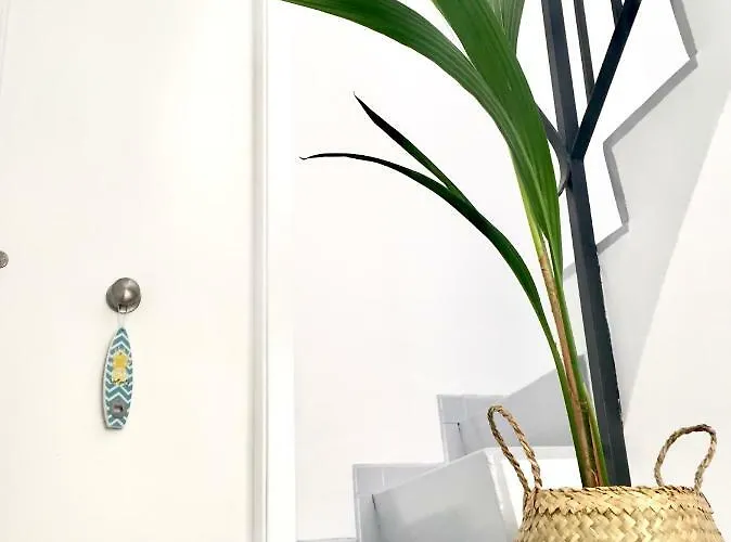 Apartamento Edificio Bel