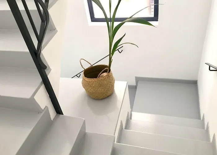 Apartamento Edificio Bel